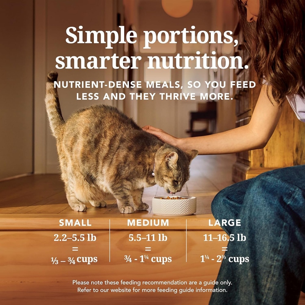 Beef & Hoki Feast Freeze-Dried Cat Food 800g