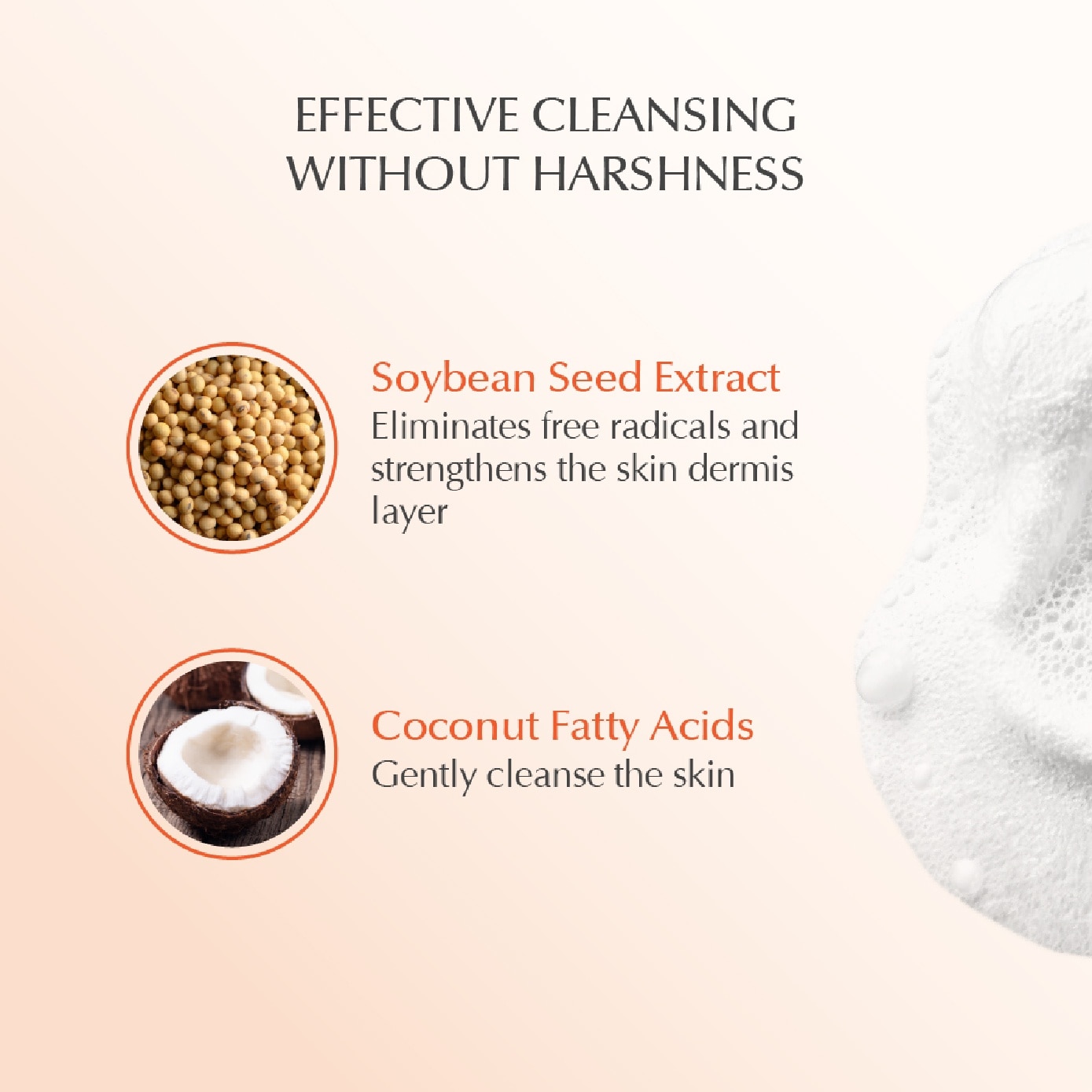 Face Wash Foam 150ml