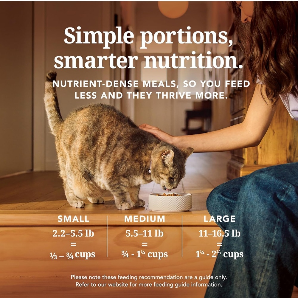 Beef Feast Freeze-Dried Cat Food 320g x 3s