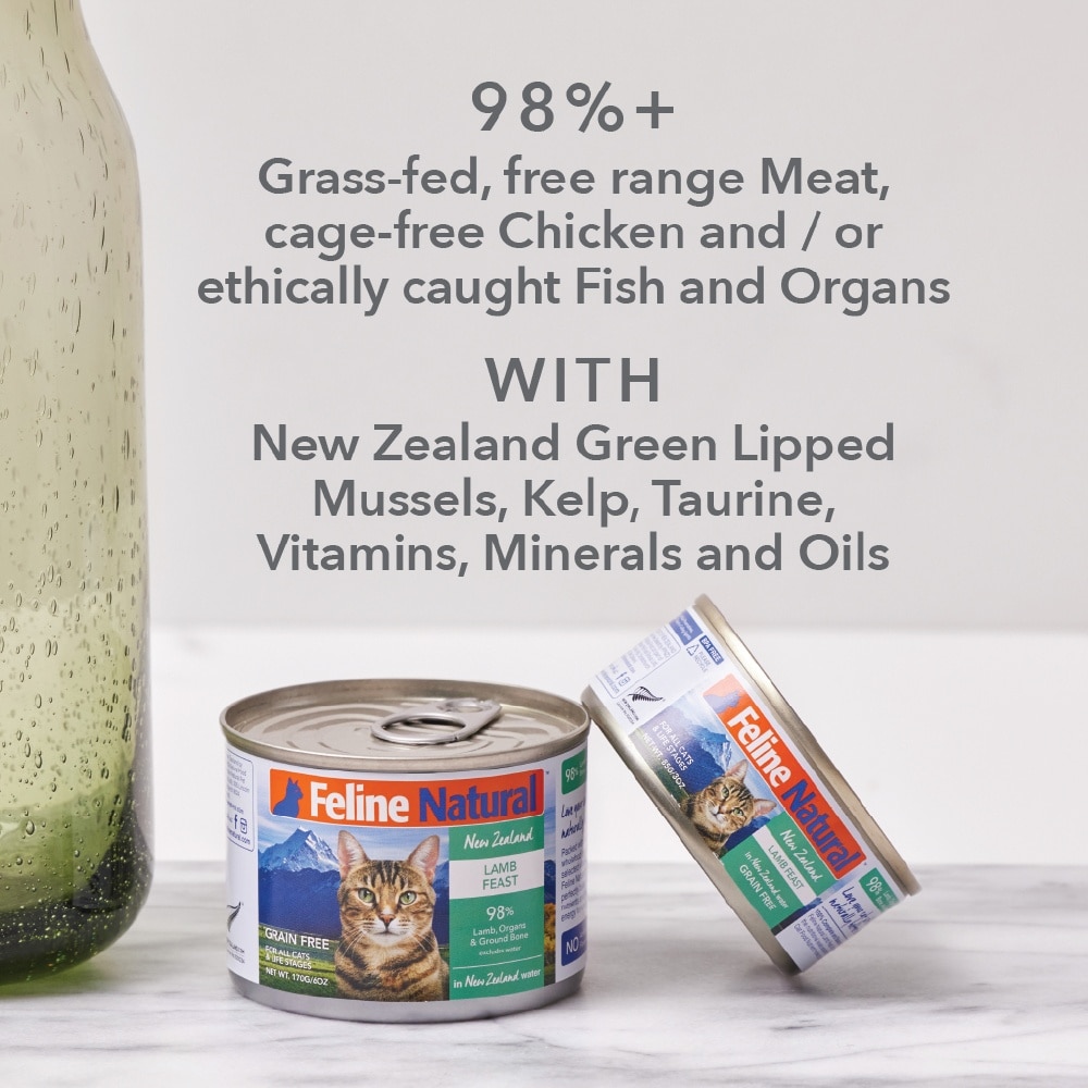 Chicken & Lamb Feast Canned Cat Food 85g