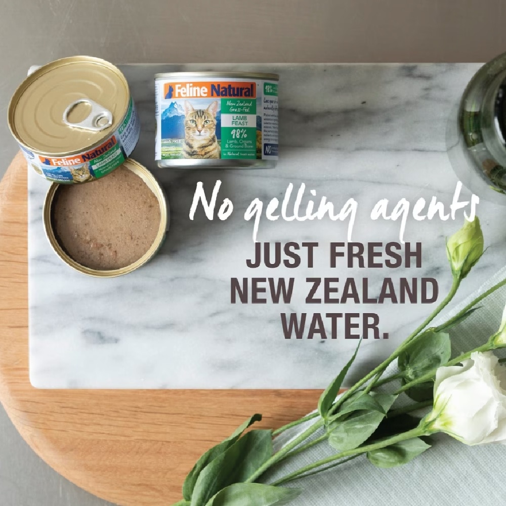 Chicken & Lamb Feast Canned Cat Food 170g x 12s (Per Carton)