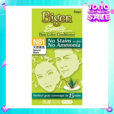 BIGEN SPEEDY No Stains N81 Natural Black