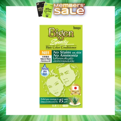 BIGEN - No Stains N81 Natural Black