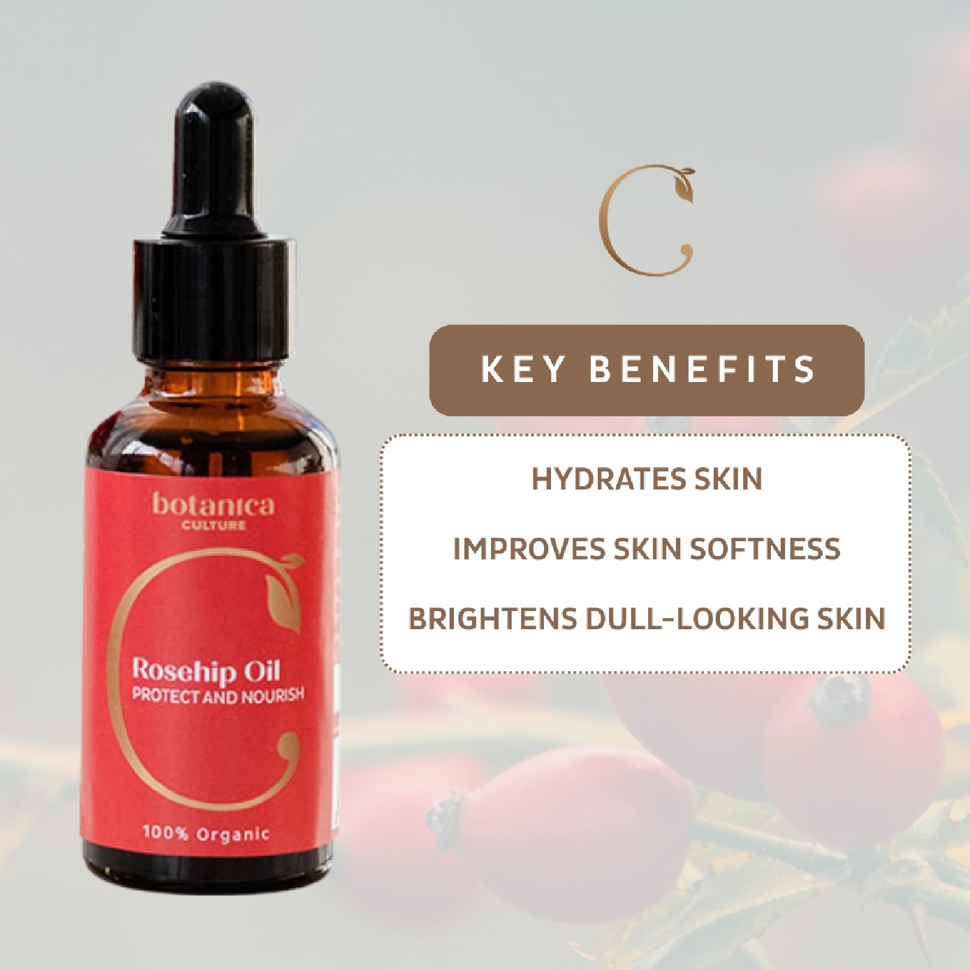 Organic Rosehip Oil 30ml image