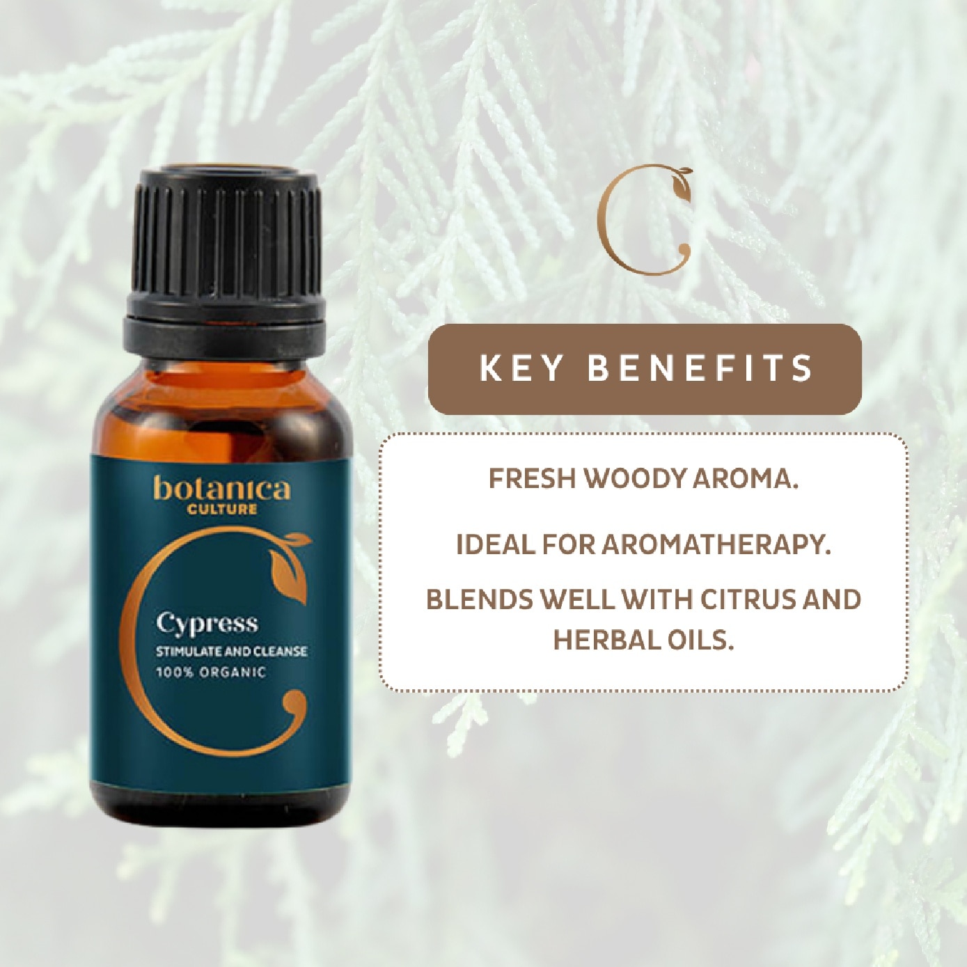Organic Cypress Essential Oil 15ml image