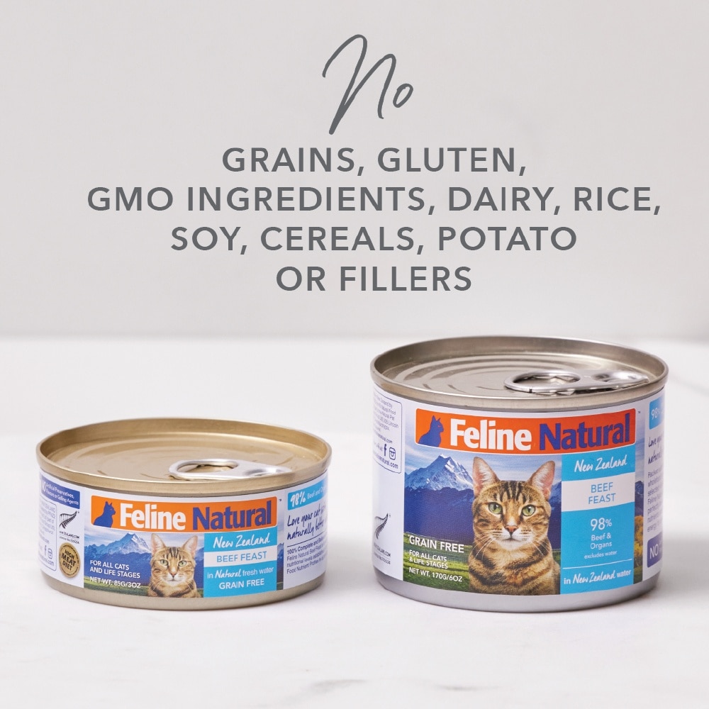 Lamb Feast Canned Cat Food 85g