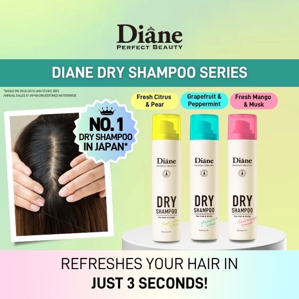 Perfect Beauty Perfect Dry Shampoo Extra Fresh 95g