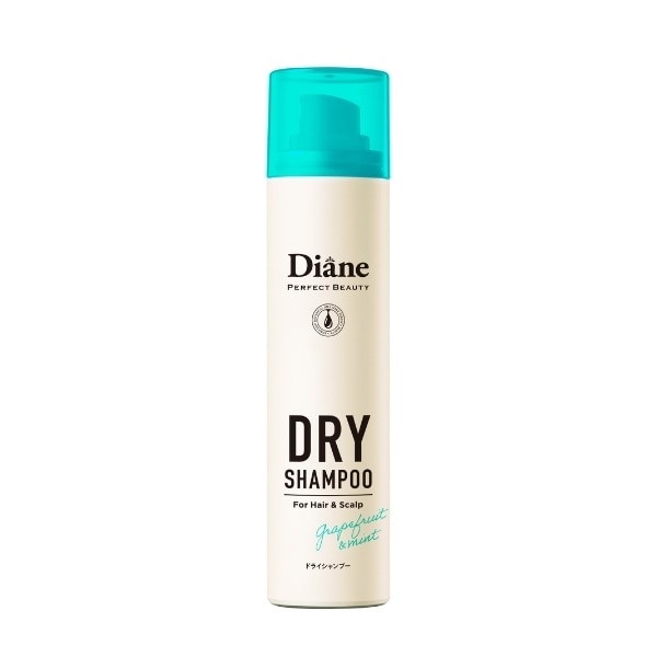 Perfect Beauty Perfect Dry Shampoo Extra Fresh 95g