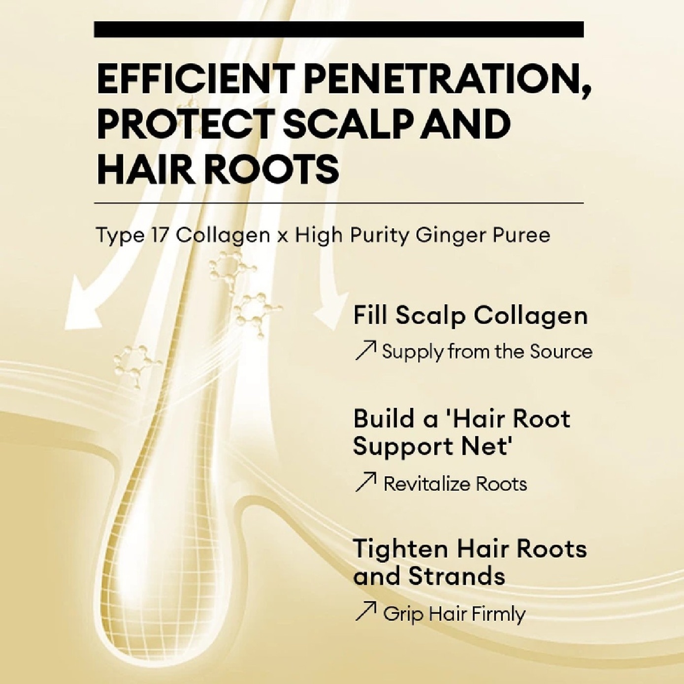 Ginger Collagen Shampoo 500ml