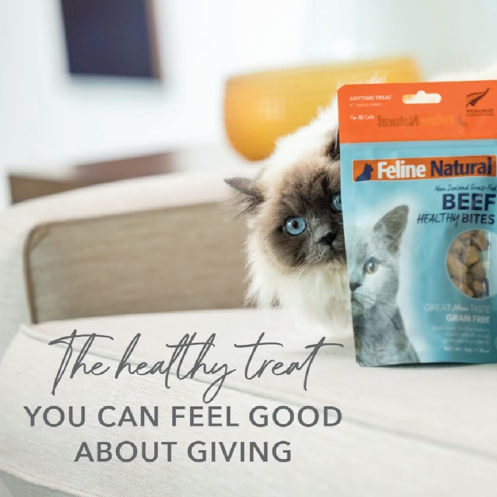 Beef Healthy Bites Cat Treats 50g image