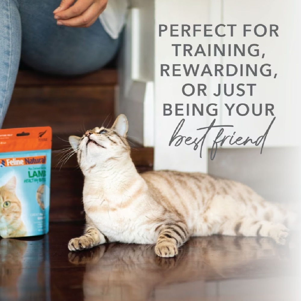 Beef Healthy Bites Cat Treats 50g image