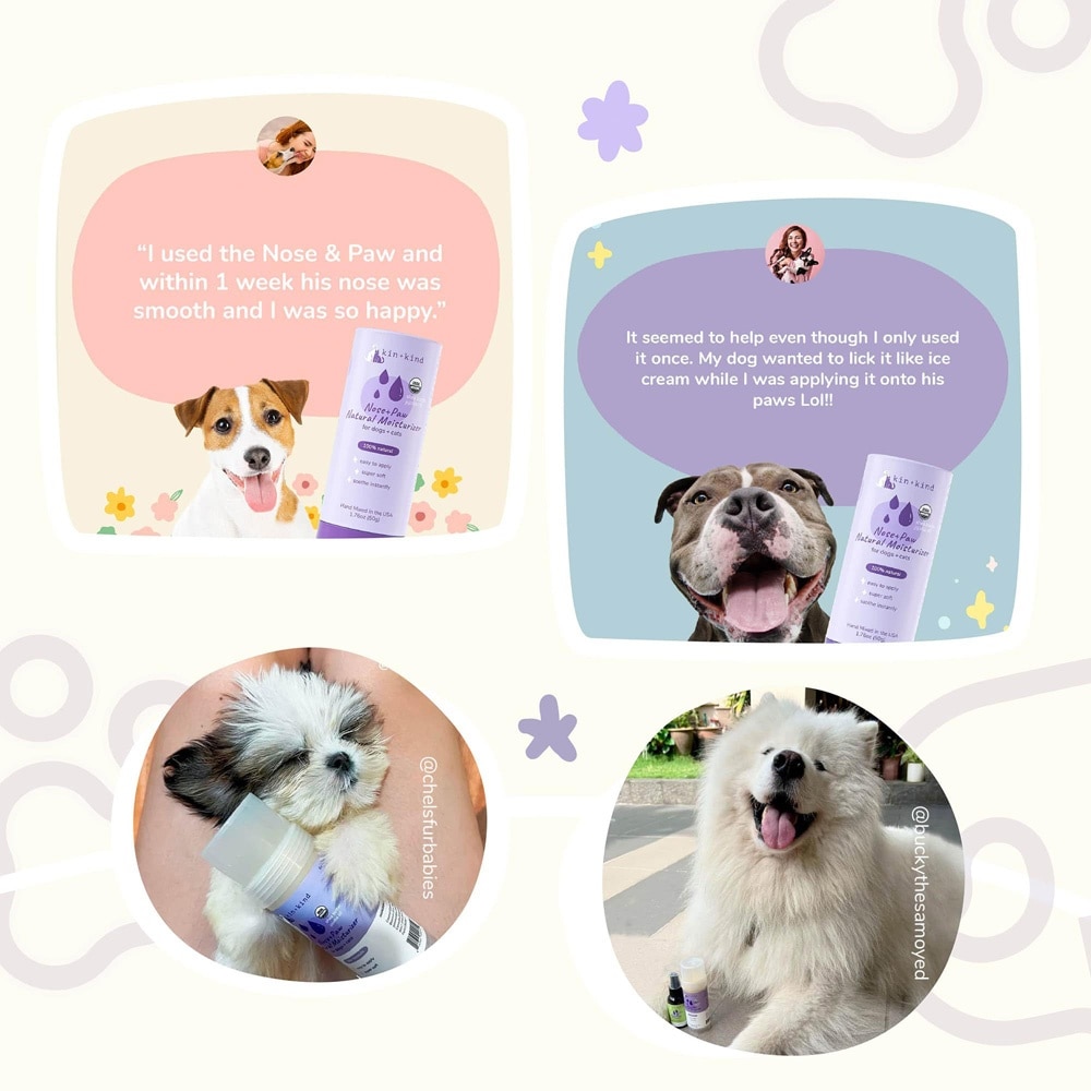 Nose Paw Moisturizer Stick for Dog & Cat 50g