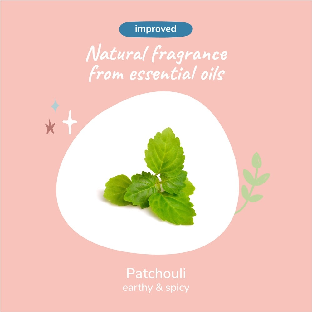 Charcoal Natural Shampoo for Dog Patchouli 354ml