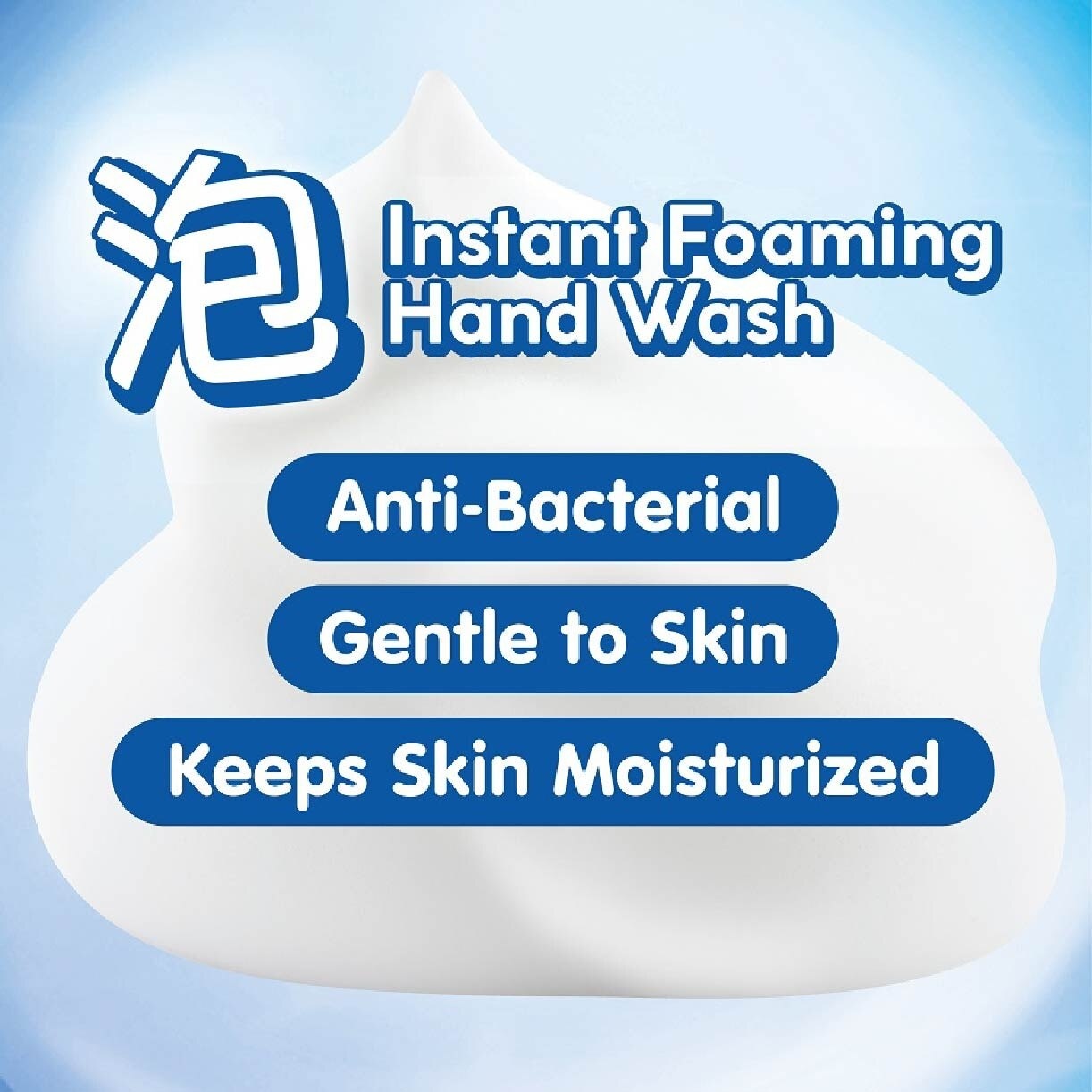 Instant Foaming Hand Wash Fruity (Anti Bacterial) 240ml