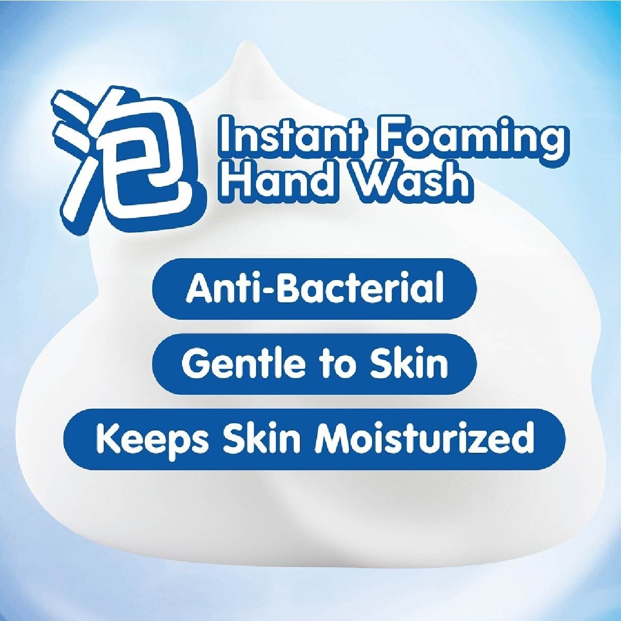 Instant Foaming Hand Wash Citrus (Anti Bacterial) 240ml