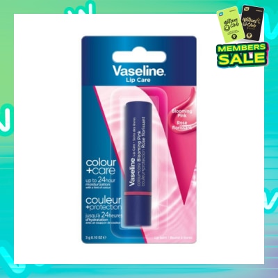 VASELINE Lip Care Colour And Care Blooming Pink (24 Hrs Of Moisturization And A Hint Of Natural Colour With Manuka Honey) 3g