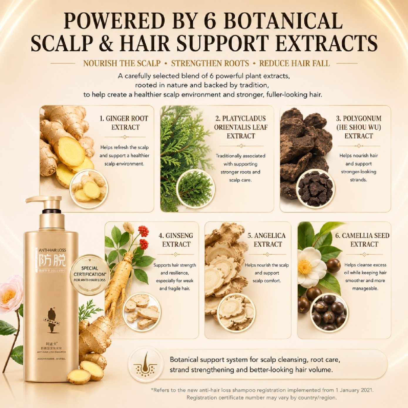 Anti-hair Loss and Strengthen Shampoo 500g image