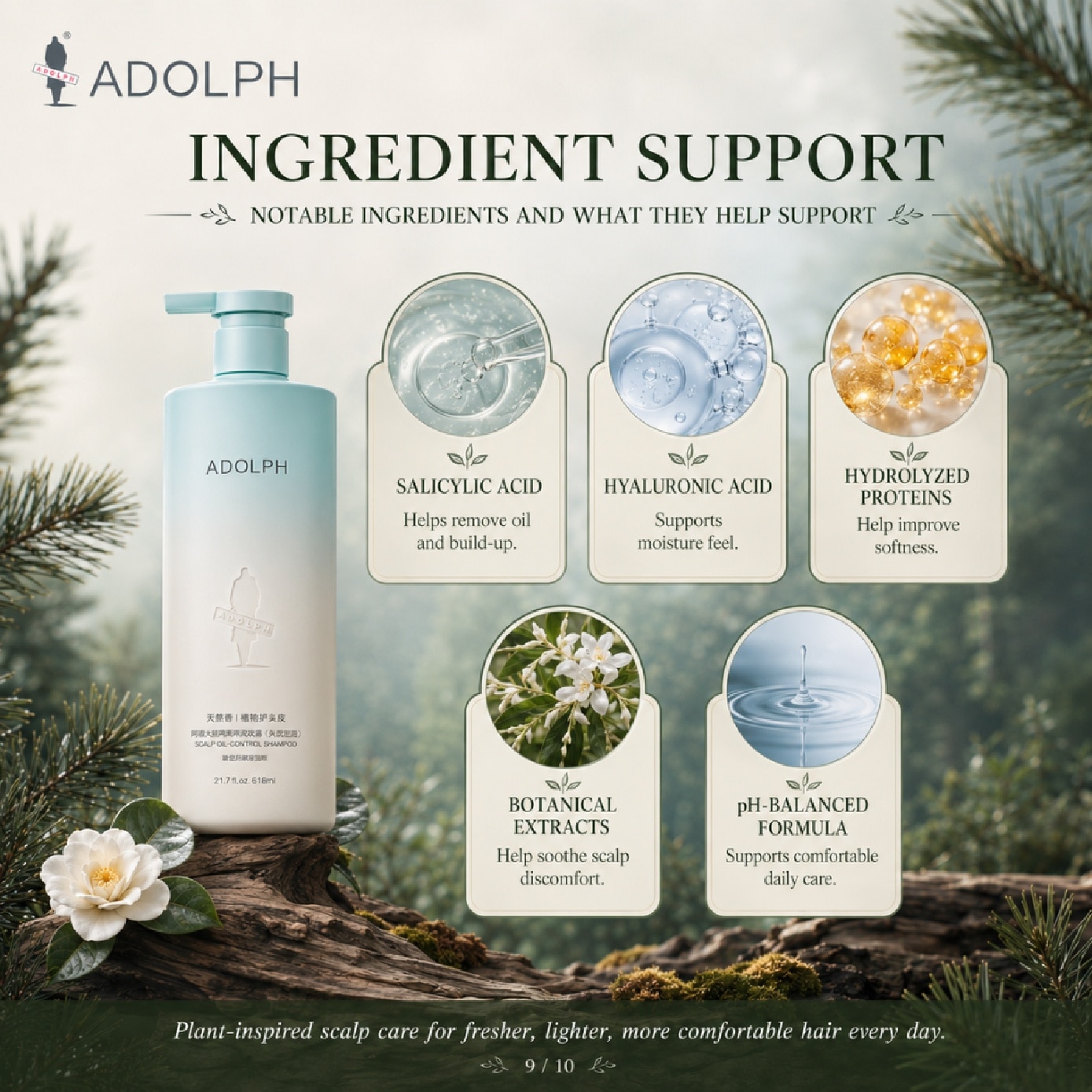 Natural Plant Scented Shampoo (Scalp Oil-Control) 618ml image