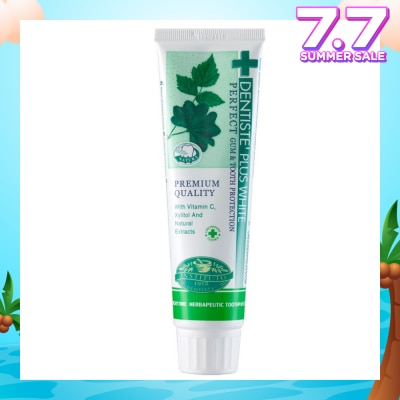 DENTISTE Night Time Toothpaste Tube 100g
