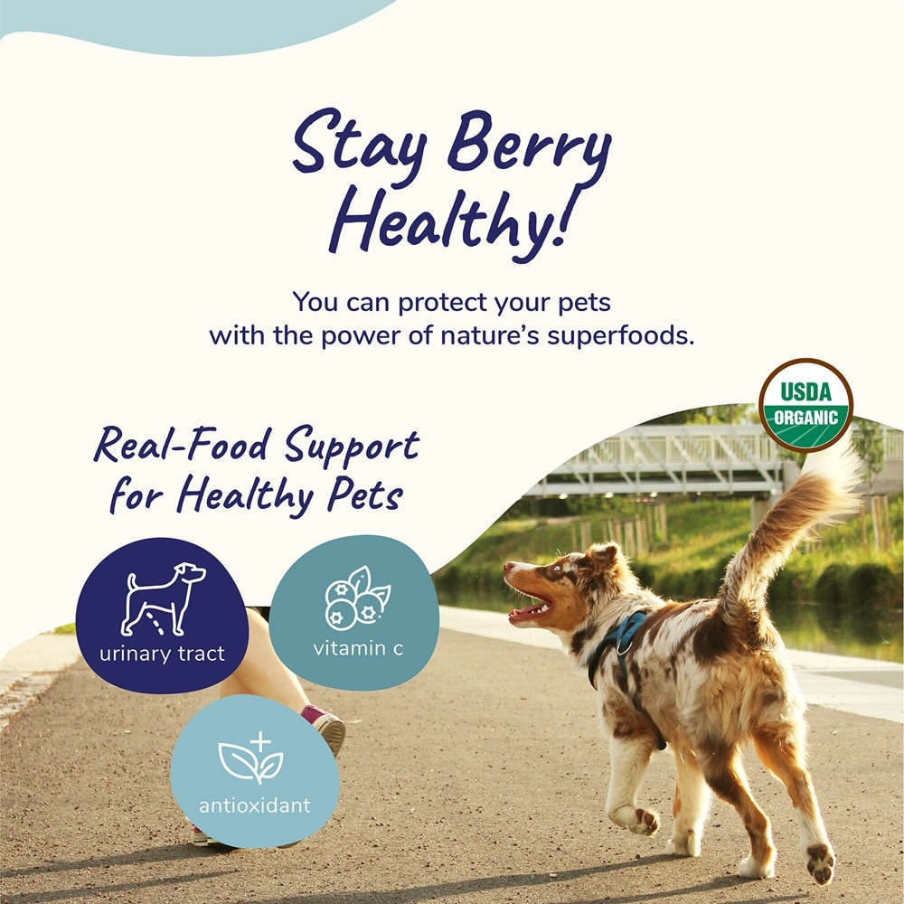 Healthy Immunity for Dog & Cat Supplement 113g