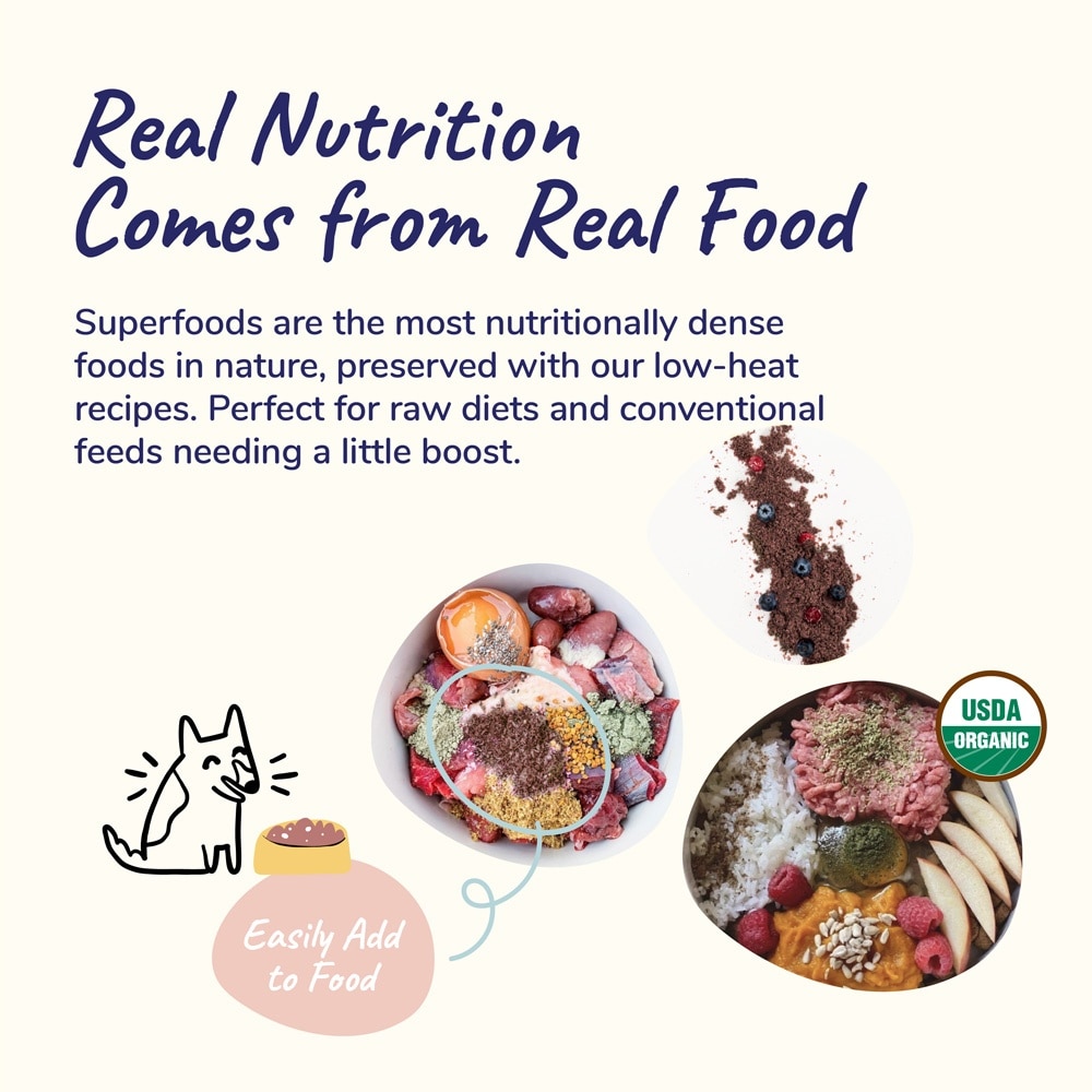 Healthy Immunity for Dog & Cat Supplement 226g