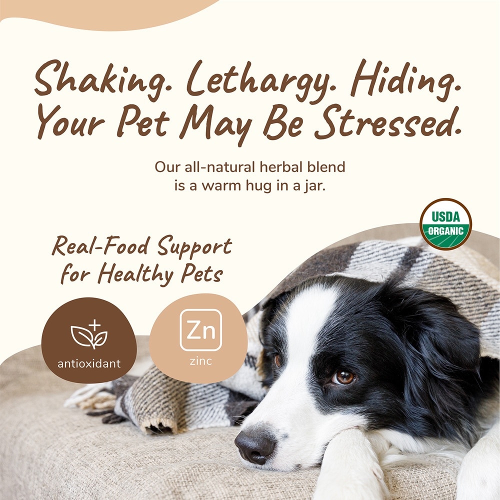 Healthy Calm for Dog & Cat Supplement 113g