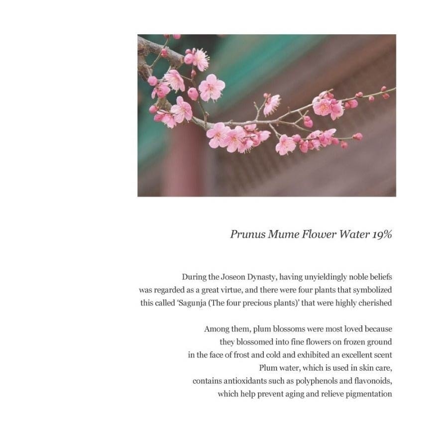 Apricot Blossom Peeling Gel (Gommage Type Exfoliant With Plum Blossom And Plant Derived Cellulose) 100ml