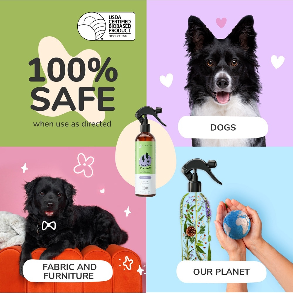 Flea Tick Spray for Dog Lavender 354ml