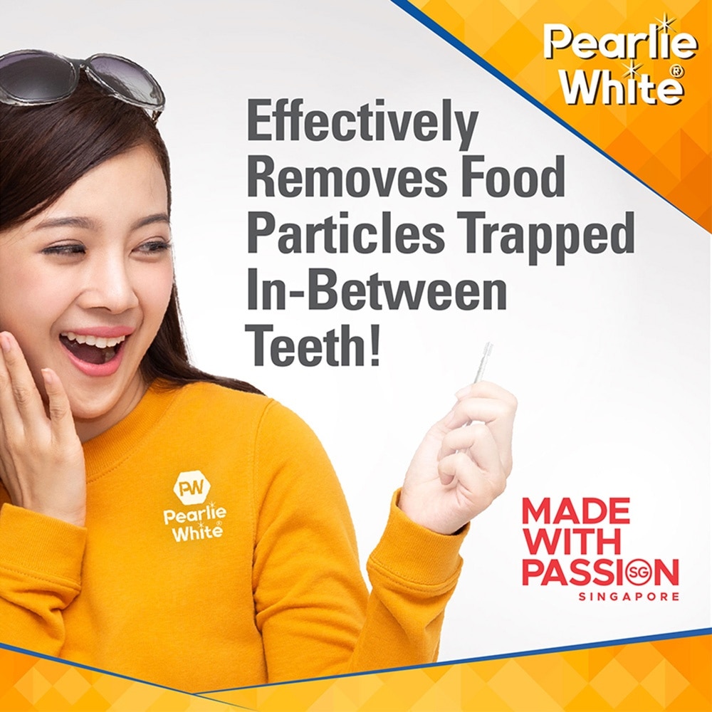 Oral Pick (Effectively Remove Food & Plaque Stuck in between Teeth) 22s in Slim Case with Mirror + 88s in Refill Case