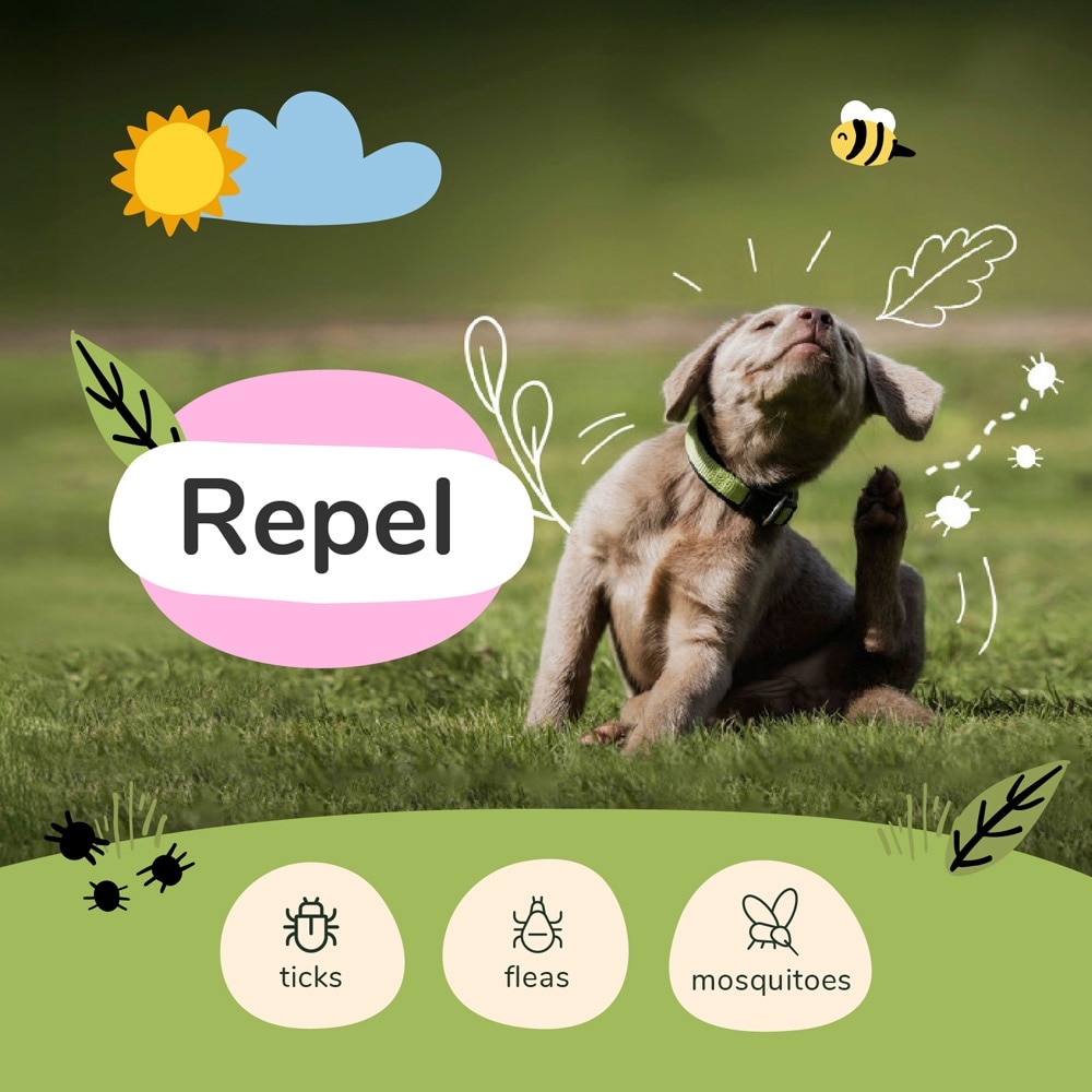 Flea Tick Spray for Dog & Cat Lemongrass 354ml