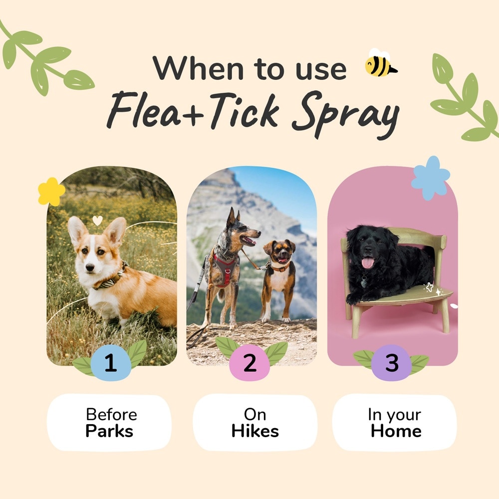 Flea Tick Spray for Dog & Cat Lemongrass 354ml