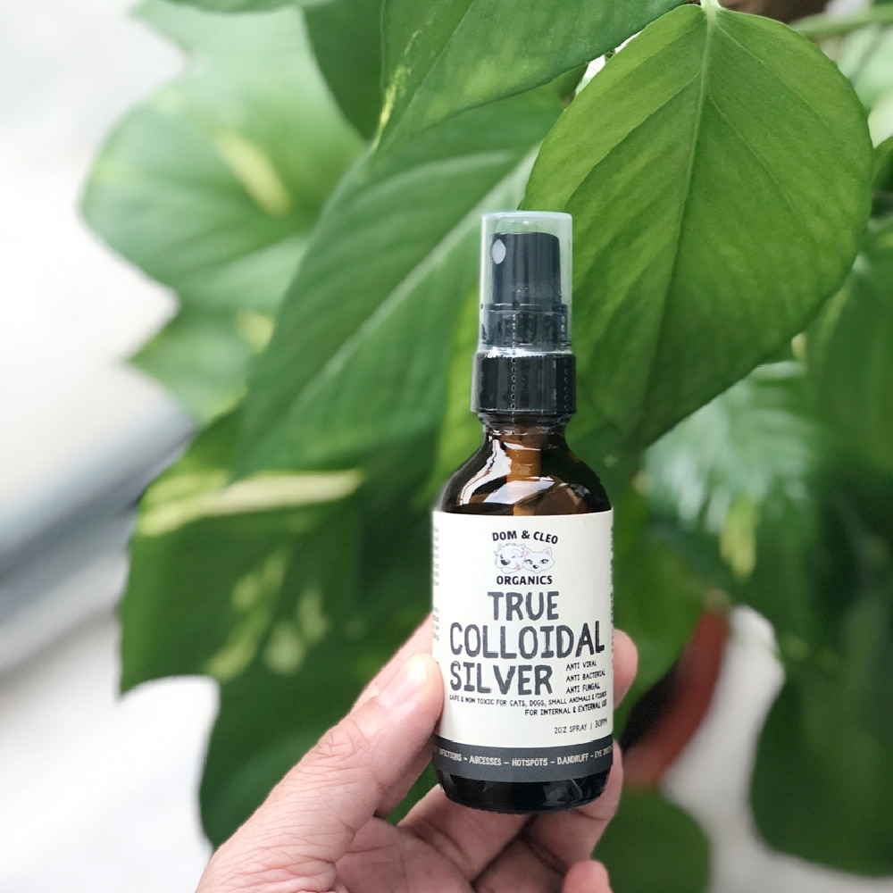 True Colloidal Silver Spray 59ml