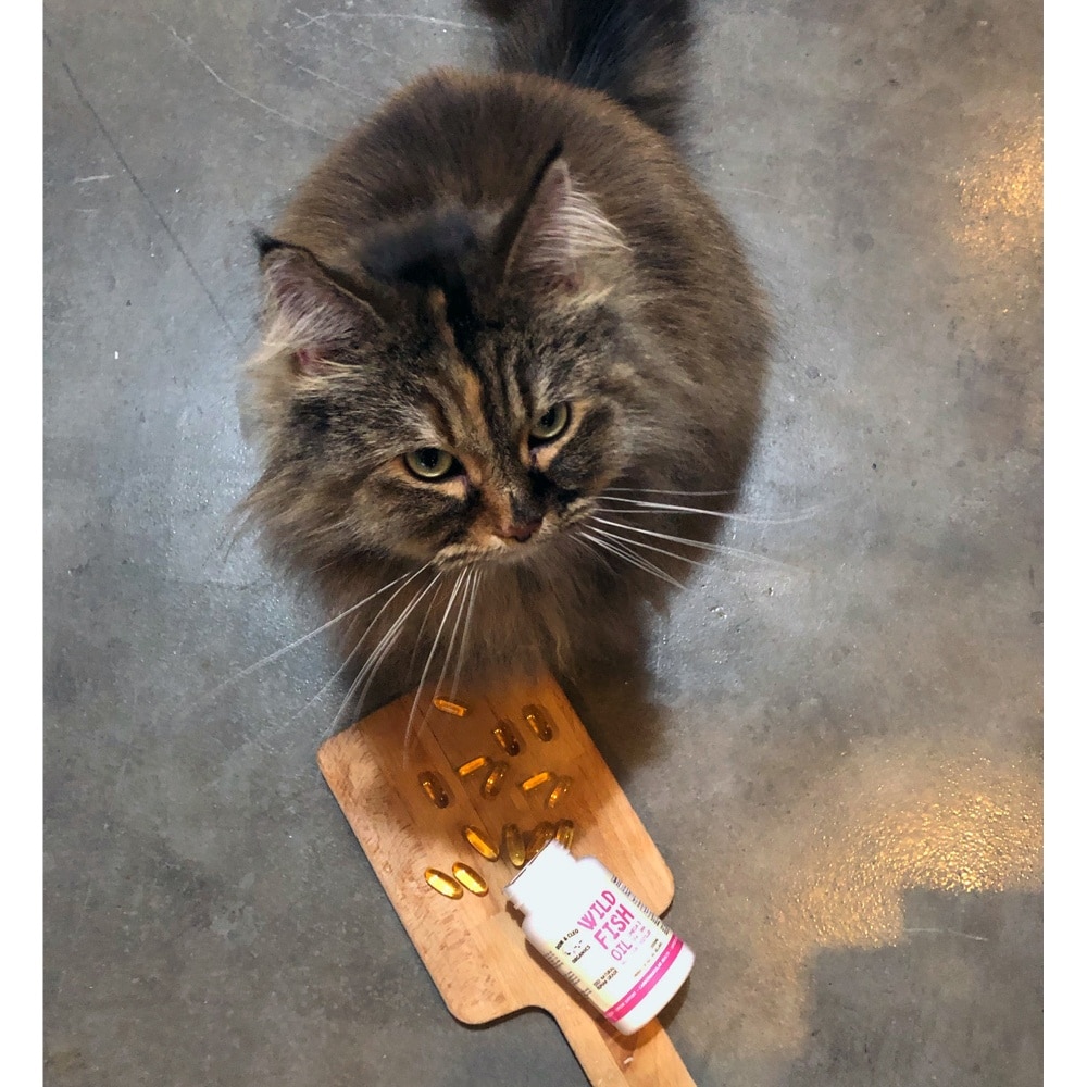 Wild Fish Oil 1000mg Gel Capsule Supplement for Dog & Cat 60s