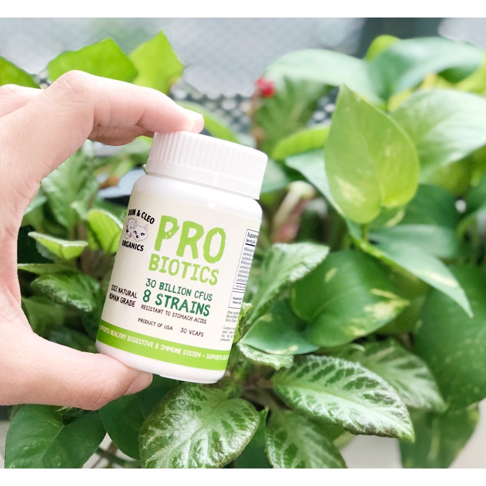 Probiotics 30 Billion CFUs Vegetarian Capsule Supplement for Dog & Cat 30s