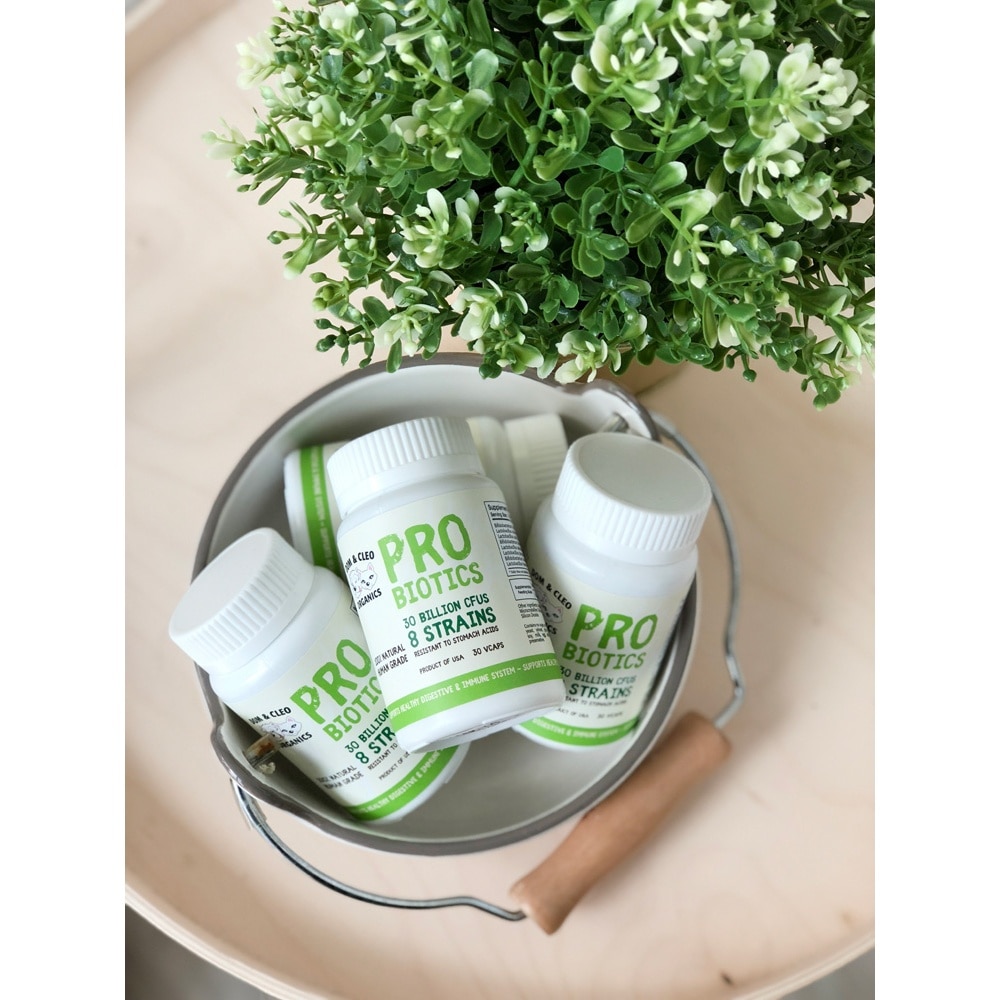 Probiotics 30 Billion CFUs Vegetarian Capsule Supplement for Dog & Cat 30s