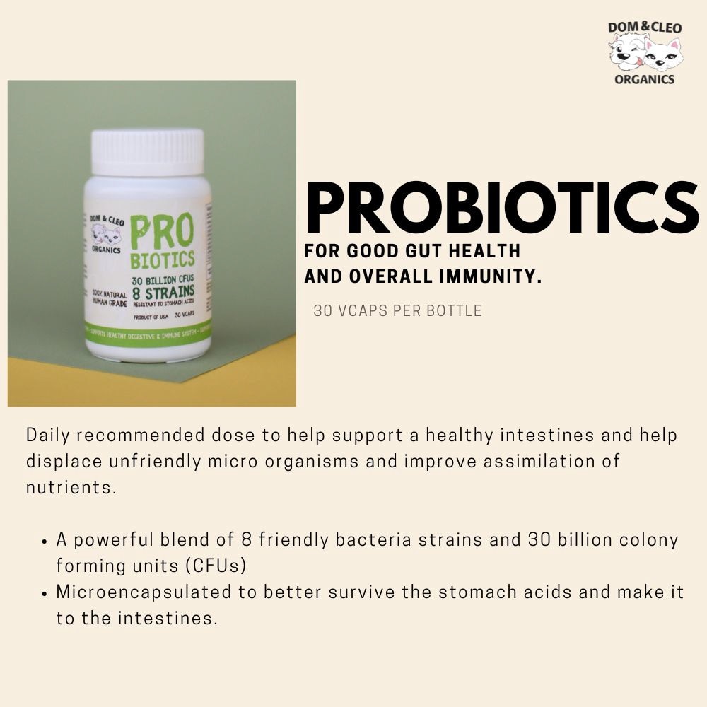 Probiotics 30 Billion CFUs Vegetarian Capsule Supplement for Dog & Cat 30s