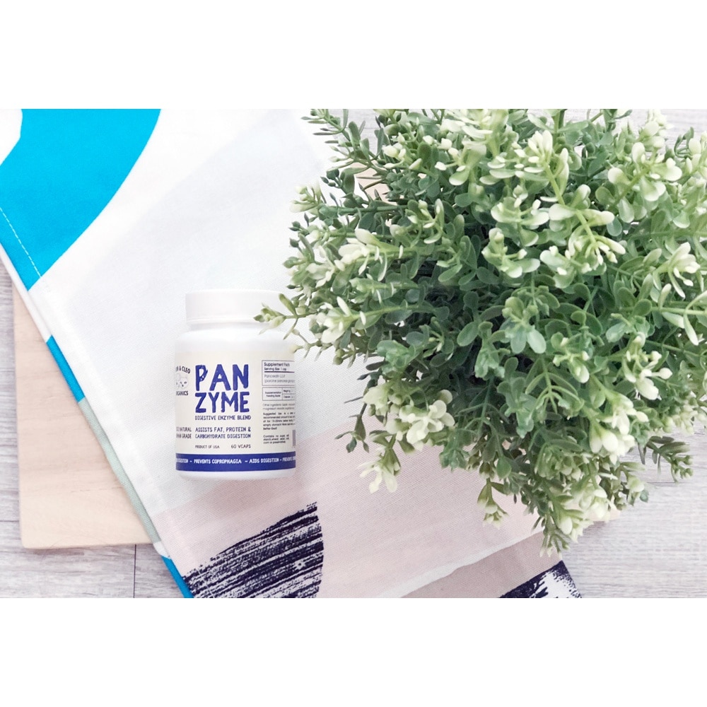 Panzyme Digestive Enzyme Blend Vegetarian Capsule Supplement for Dog & Cat 60s