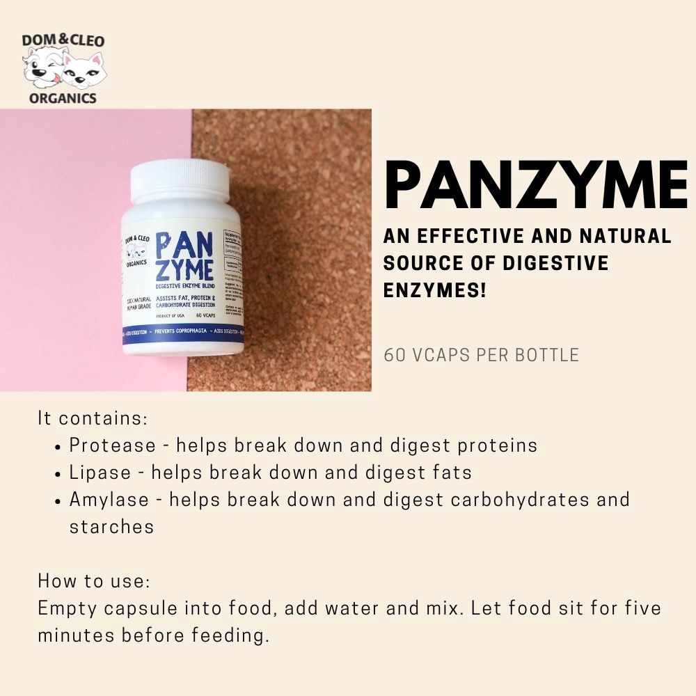 Panzyme Digestive Enzyme Blend Vegetarian Capsule Supplement for Dog & Cat 60s