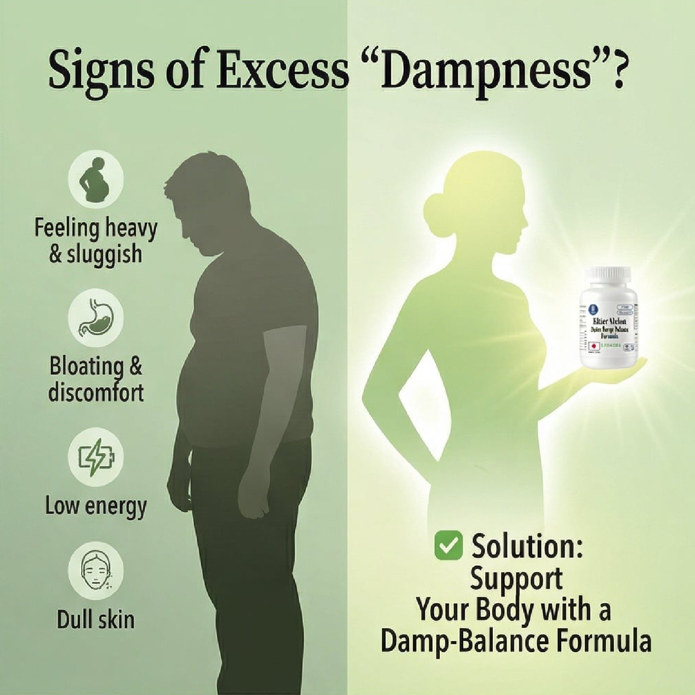 Bitter Melon Detox Damp Balance Formula Capsule 60s image