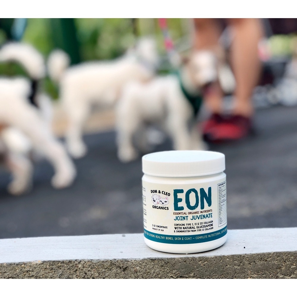 Essential Organic Nutrients (EON) Joint Juvenate for Dog & Cat 255g