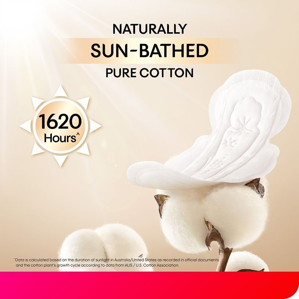 Sun-Bathed Cotton 24cm 16s