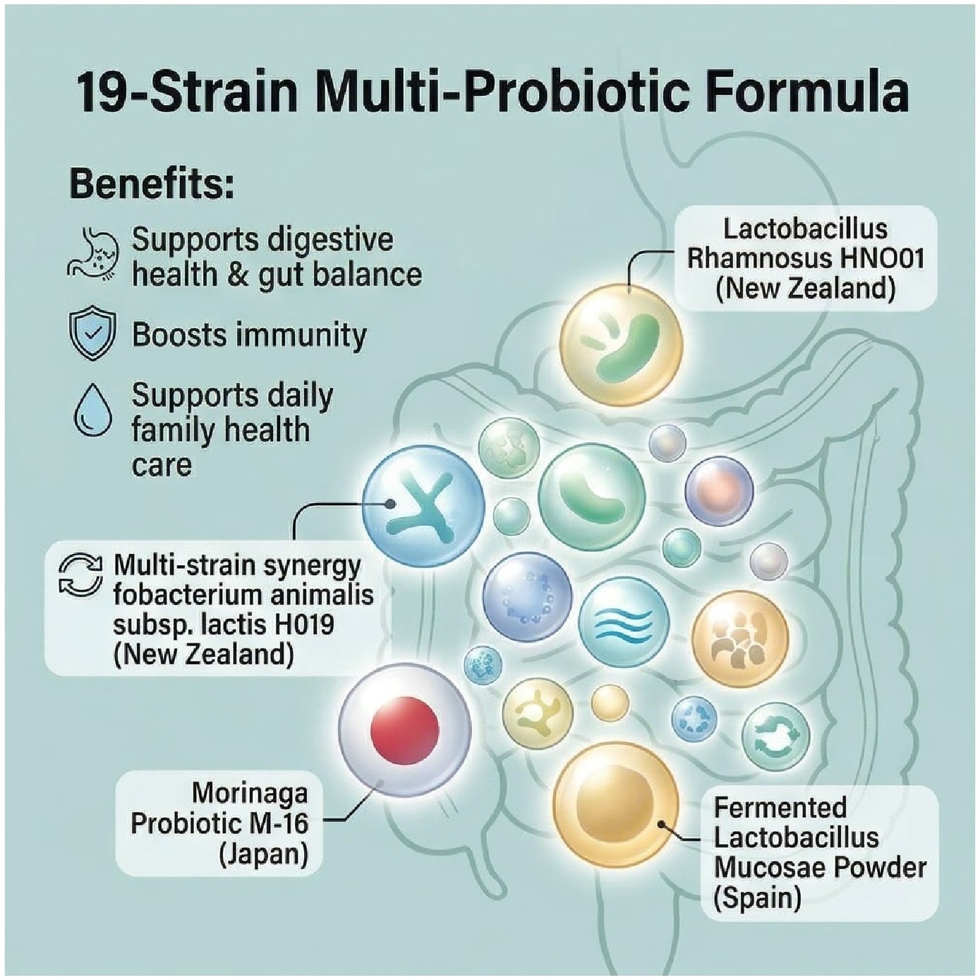 Live Intestinal Probiotics for Digestive Health, Gut Balance & Daily Immunity Support Sachet 30s image