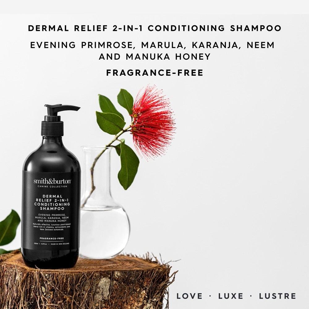 Canine Collection Dermal Relief 2-in-1 Conditioning Shampoo for Dog 500ml