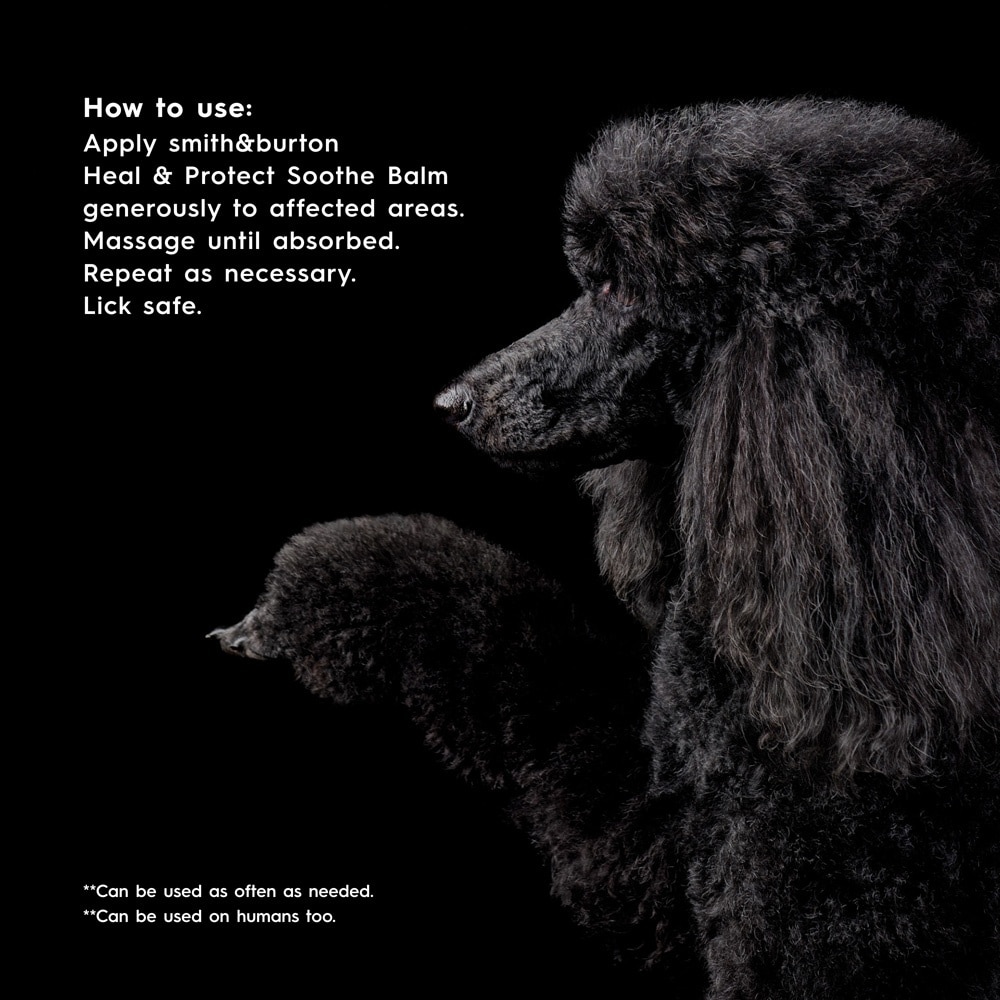 Canine Collection Heal & Protect Soothe Balm for Dog 65g