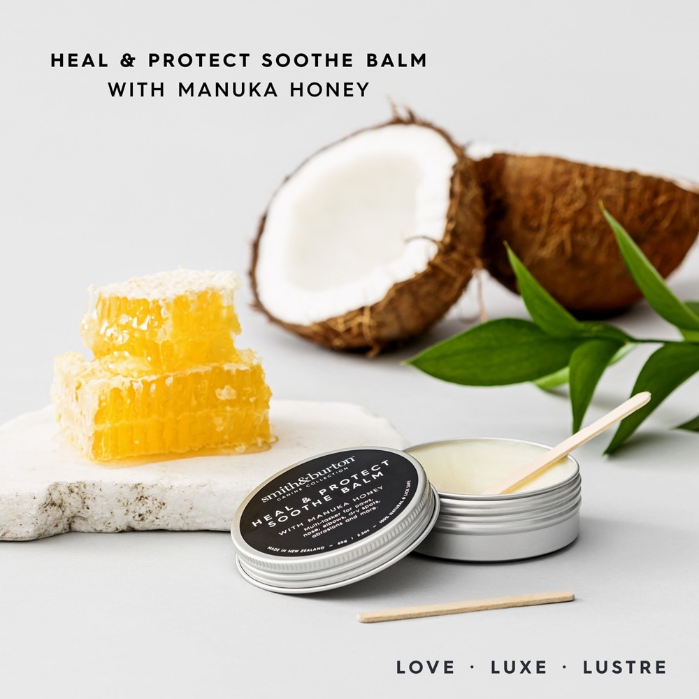 Canine Collection Heal & Protect Soothe Balm for Dog 65g