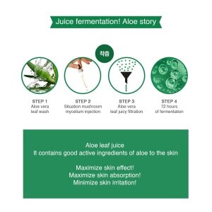 aloe vera products Pure Aloe Vera Gel