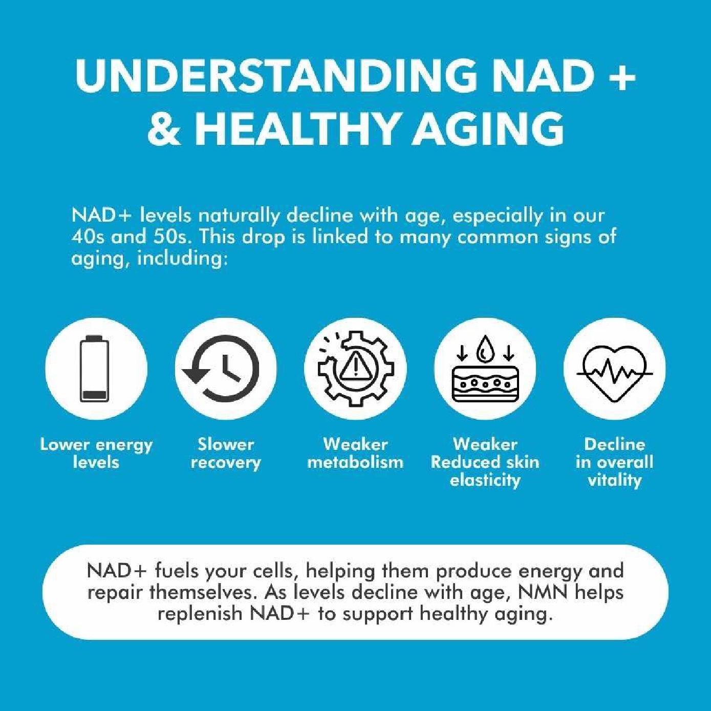 NMN+ Booster with COQ10 and Resveratrol Vegecap 60s