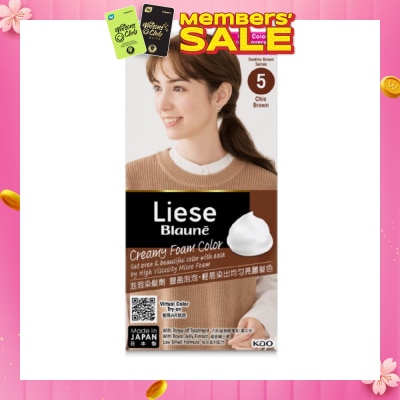 LIESE Blaune Creamy Foam Color Chic Brown (Easy Foam Format And Even Gray Hair Coverage With A Non Drip Foam Formula) 108ml