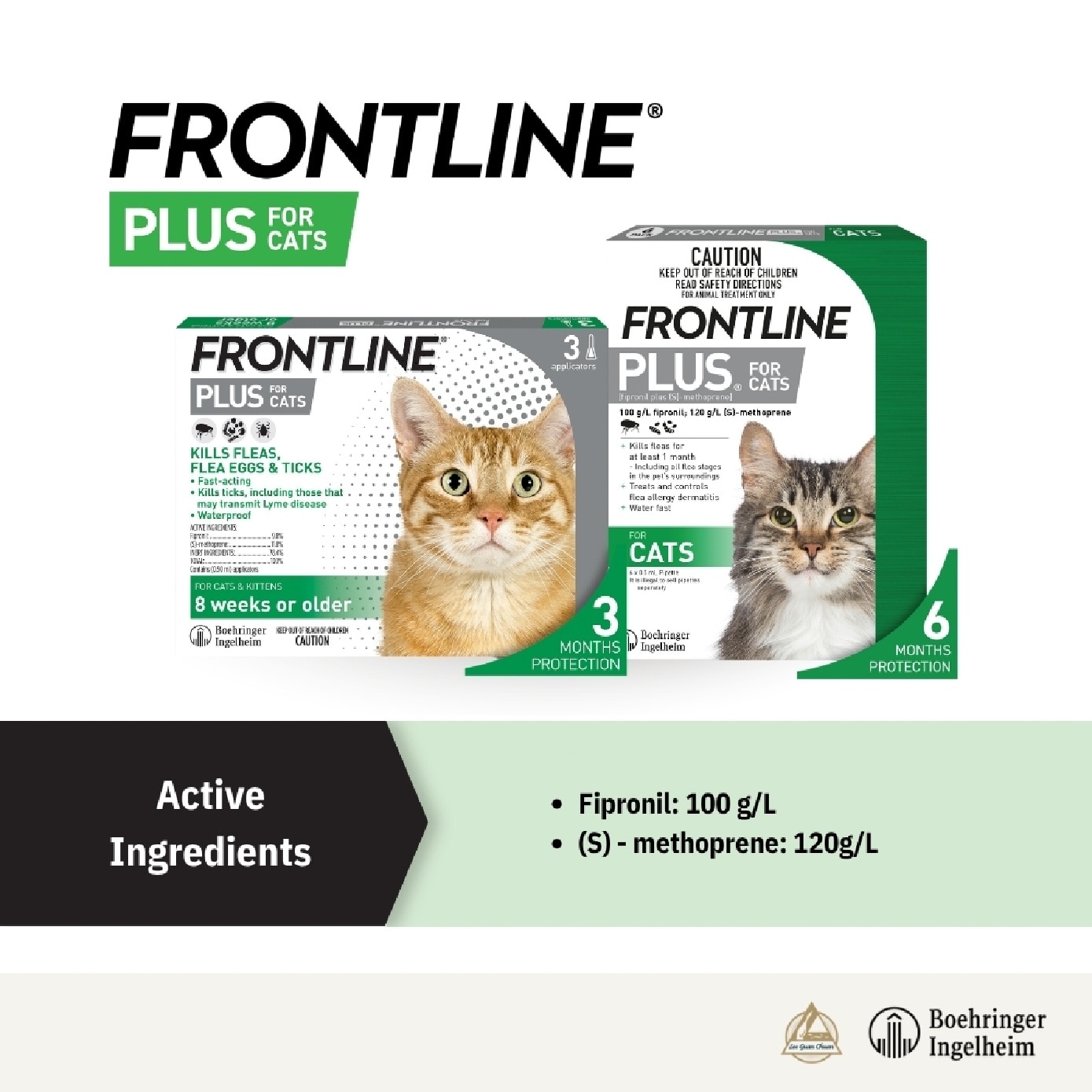 Plus Flea & Tick Treatment for Cats (8 Weeks+) Pipette 0.5ml x 3s