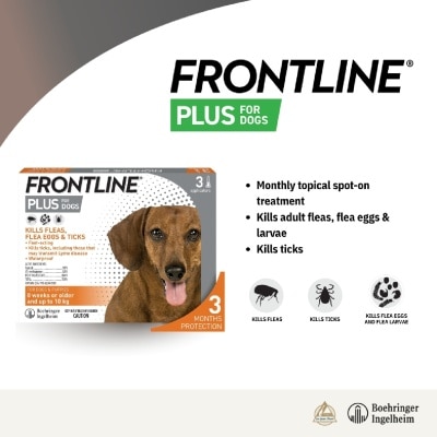 FRONTLINE - Plus Flea & Tick Treatment for Dogs (8 Weeks+, Small Dogs Up to 10kg) Pipette 0.67ml x 3s